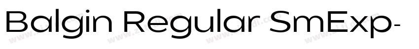 Balgin Regular SmExp字体转换